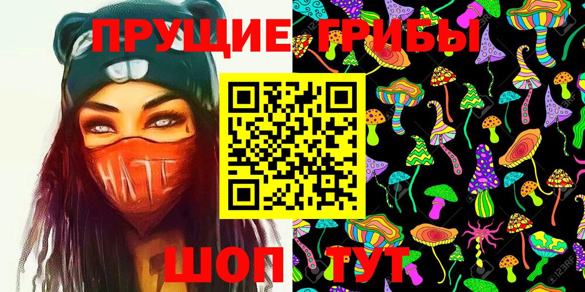 Псилоцибиновые грибы Psilocybe Карасук